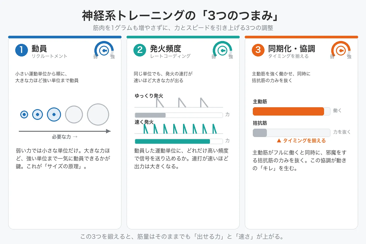 神経系トレーニングの3つのつまみ（①動員　②発火頻度　③同期化・協調）を図解した説明図